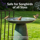 Sunnydaze Gleeful Garden Metal Outdoor Bird Bath - UV-Resistant Finish