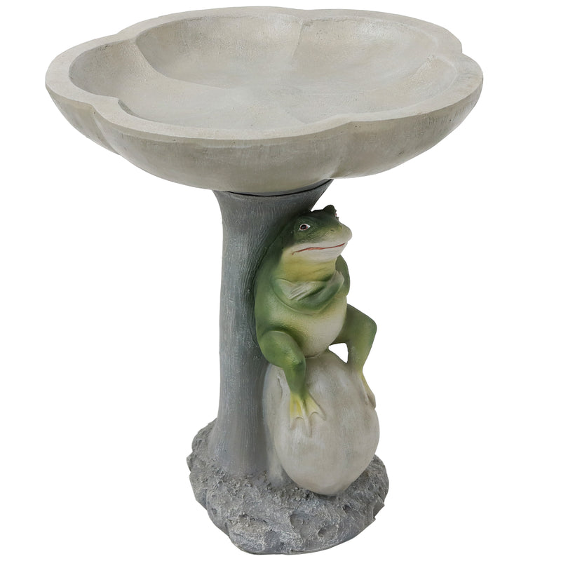 Sunnydaze Polyresin Brooding Frog on Stone Outdoor Garden Bird Bath