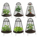 Sunnydaze Mesh Cloche Plant Protector with Removable Cover - 6-Pack