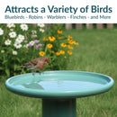 Sunnydaze Glazed Ceramic Outdoor Bird Bath