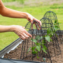 Sunnydaze Mesh Cloche Plant Protector with Removable Cover - 6-Pack