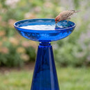 Blue glass birdbath filled with water, with a small brown bird drinking from the edge of the bowl in a garden setting.