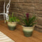 Sunnydaze Set of 2 Studio Glazed Ceramic Planters