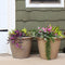 Sunnydaze Anjelica Polyresin Outdoor Flower Pot Planter