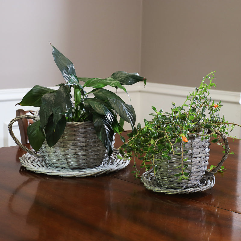 Sunnydaze Set of 2 Gray Willow Wicker Coffee Cup Indoor Planters