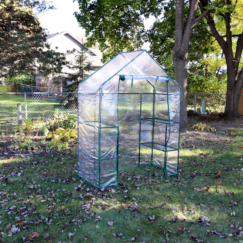 walk-in greenhouse with 4 shelves and clear cover