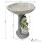 Sunnydaze Polyresin Brooding Frog on Stone Outdoor Garden Bird Bath