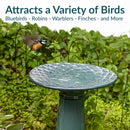 Sunnydaze Rennes Outdoor Ceramic Bird Bath - 22.5" H