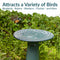 Sunnydaze Rennes Outdoor Ceramic Bird Bath - 22.5" H