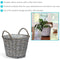 Infographic highlighting the features and or benefits of the product.