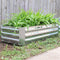 Rectangle, silver raised garden bed outside with plants growing inside