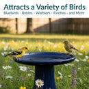 Sunnydaze Glazed Ceramic Outdoor Bird Bath