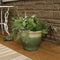 Sunnydaze Studio Glazed Ceramic Planter with Drainage Holes