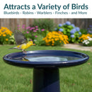 Sunnydaze Glazed Ceramic Outdoor Bird Bath