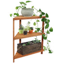 Sunnydaze Meranti Wood Teak Oil Finish 3-Tier Corner Plant Stand