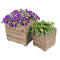 Sunnydaze 2-Piece Wooden Planter Boxes with Plastic Liners