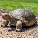 Sunnydaze Reinforced Concrete Talia the Tortoise Indoor/Outdoor Statue - 29"