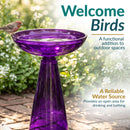 Purple glass birdbath filled with water, with a small bird perched on the edge. Text highlights welcoming birds, outdoor use, and providing a reliable water source for drinking and bathing.