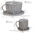 Sunnydaze Set of 2 Gray Willow Wicker Coffee Cup Indoor Planters