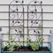 Sunnydaze 32" Rustic Plant Design Garden Trellis - Set of 2