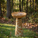 Tan and cream pedestal bird bath filled with birdseed, placed in a grassy woodland setting surrounded by trees and fallen leaves.