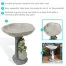 Sunnydaze Polyresin Brooding Frog on Stone Outdoor Garden Bird Bath