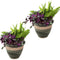 Sunnydaze Set of 2 Indoor/Outdoor Purlieu Ceramic Planters - 12"