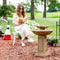 Sunnydaze Beveled Flower 2-Tier Outdoor Water Fountain & Bird Bath - 28"