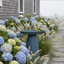 Sunnydaze Gleeful Garden Metal Outdoor Bird Bath - UV-Resistant Finish