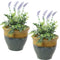 Sunnydaze Set of 2 Studio Glazed Ceramic Planters