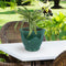 Sunnydaze Studio Glazed Ceramic Planter with Drainage
