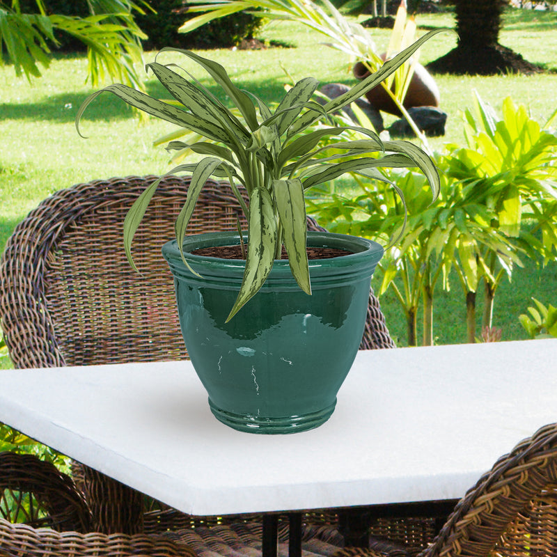 Sunnydaze Studio Glazed Ceramic Planter with Drainage