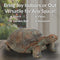 Sunnydaze Tortoise Concrete Garden Statue