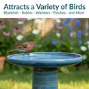 Sunnydaze Glazed Ceramic Outdoor Bird Bath