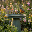 Sunnydaze Gleeful Garden Metal Outdoor Bird Bath - UV-Resistant Finish