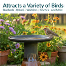 Sunnydaze Glazed Ceramic Outdoor Bird Bath