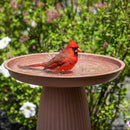 Sunnydaze Gleeful Garden Metal Outdoor Bird Bath - UV-Resistant Finish