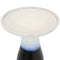 Aerial of white bird bath bowl of the twilight bird bath.