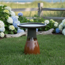 Sunnydaze Glazed Ceramic Outdoor Bird Bath