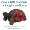 Sunnydaze Tortoise Concrete Garden Statue
