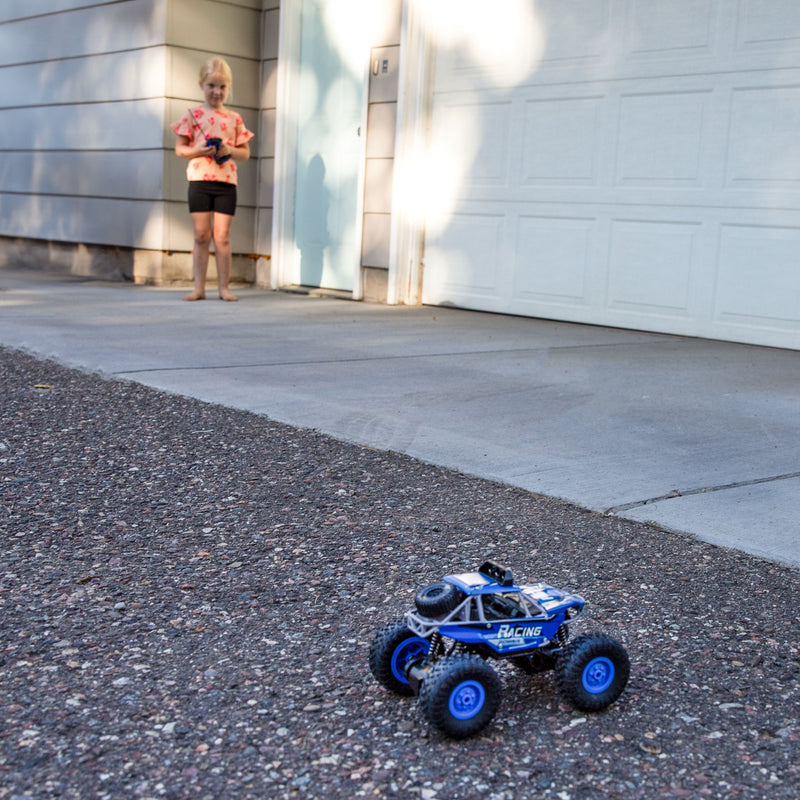 Sunnydaze Monster Truck Remote Control Car