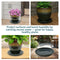 Sunnydaze Set of 4 Glazed Ceramic Planter Saucers