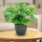 Sunnydaze Chalet Glazed Ceramic Planter with Drainage Holes - Set of 2