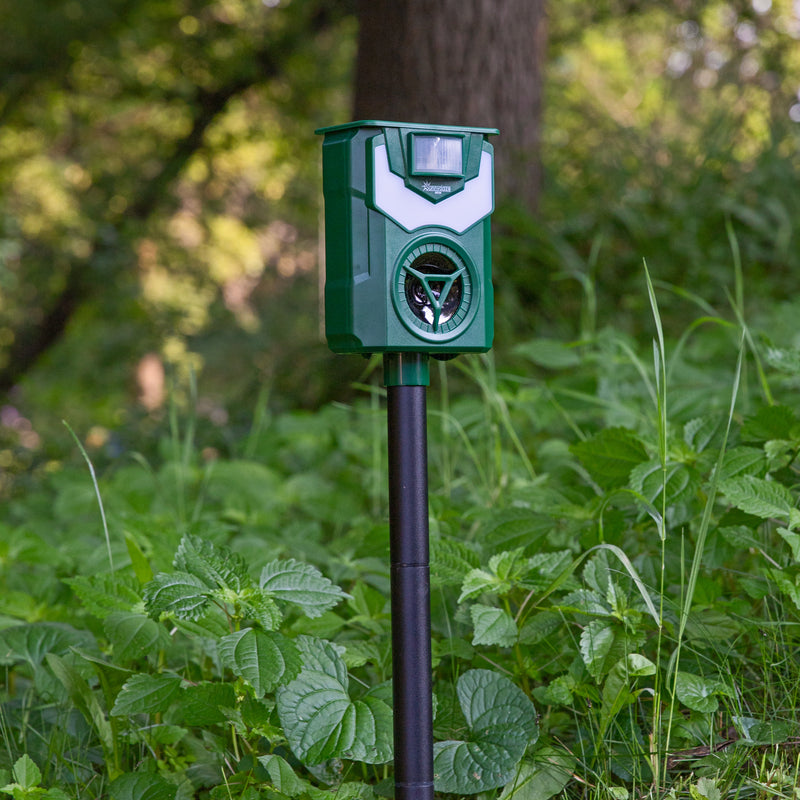 Sunnydaze Solar-Powered Animal Repellent with Flame Light