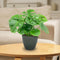 Sunnydaze Resort Glazed Ceramic Planter with Drainage Holes - Set of 2