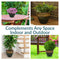 Sunnydaze Resort Glazed Ceramic Planter