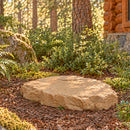 Tan decorative faux rock cover with a flat, natural stone-textured surface and irregular edges, placed on a mulch-covered forest landscape surrounded by ferns, trees, and a rustic log cabin.