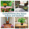 Sunnydaze Chalet Glazed Ceramic Planter with Drainage Holes - Set of 2
