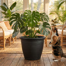 Sunnydaze Anjelica Polyresin Large Round Outdoor Planter