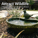Sunnydaze Green Glazed Ceramic Solar Water Fountain - Frog